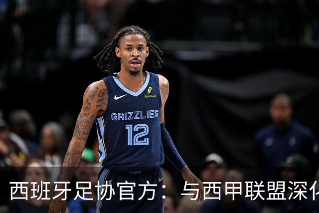 西班牙足协官方：与西甲联盟深化合作，将引入半自动越位识别系统